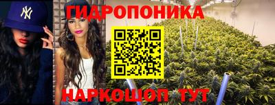 метадон Северобайкальск