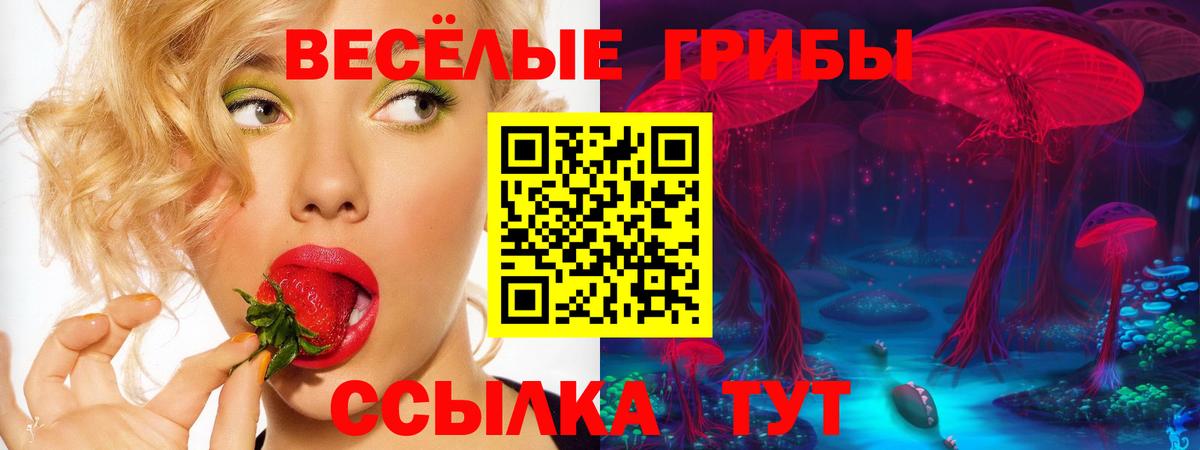 Галлюциногенные грибы ЛСД Похвистнево